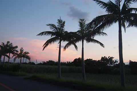 宮古島 夕陽