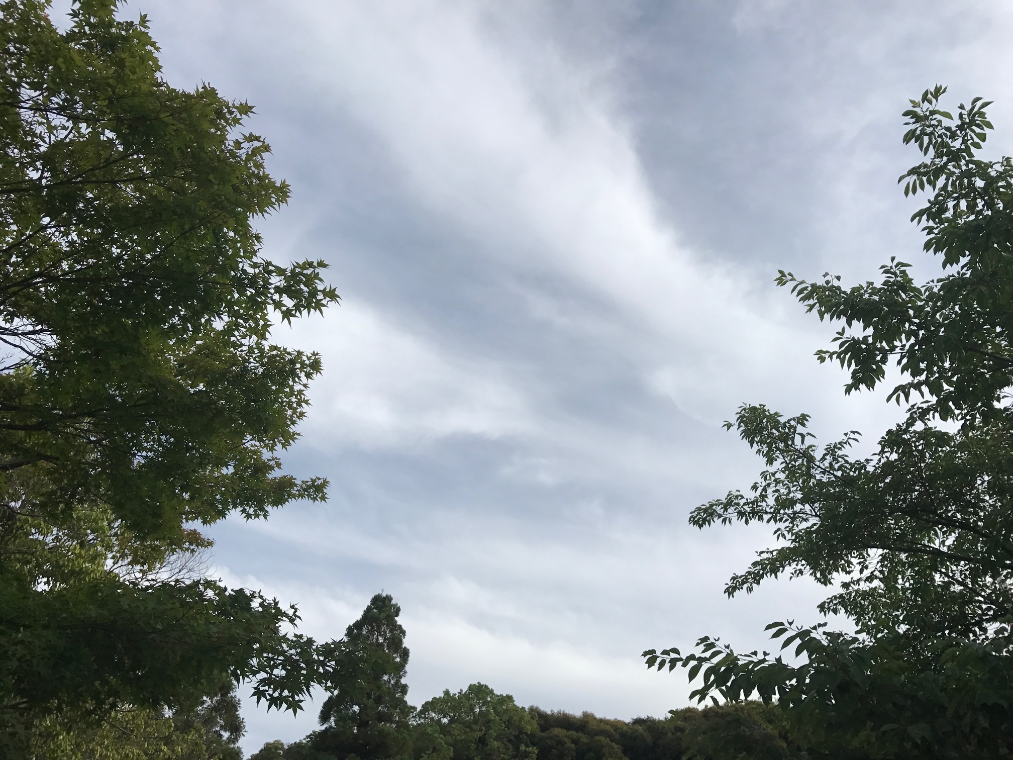 空　龍田大社　奈良