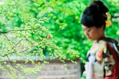 結婚式 神前挙式