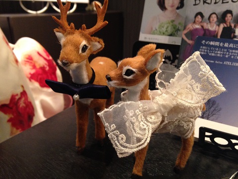 ウェルカムドール