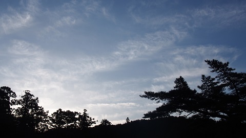 伊勢神宮　参拝