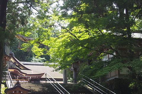 大神神社 桜井市