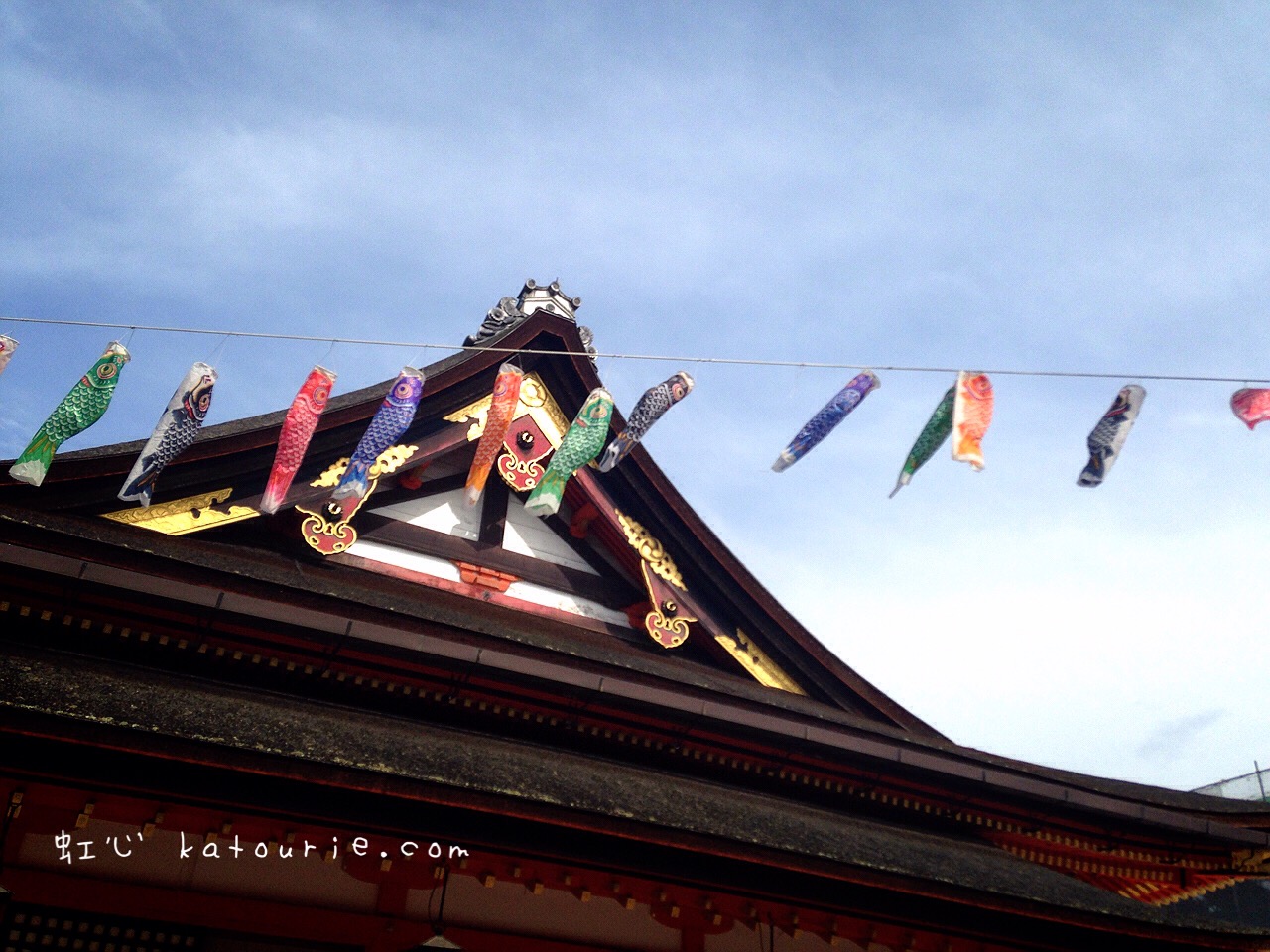八坂神社の鯉のぼり