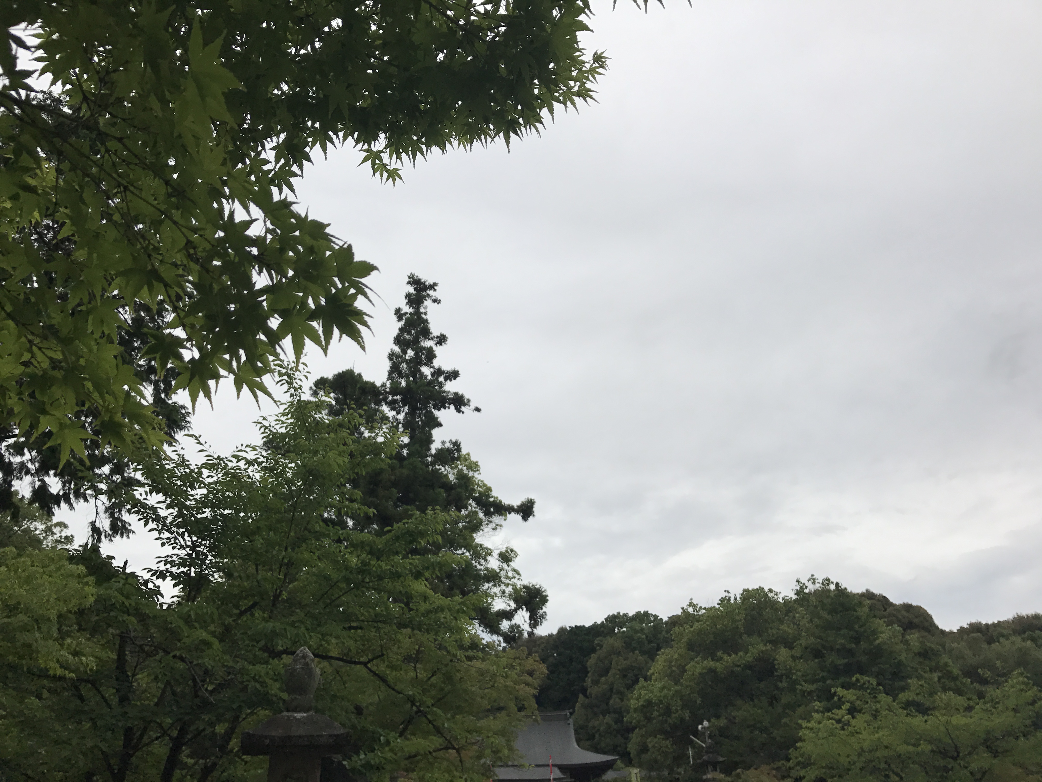 夏越の大祓　龍田大社　奈良