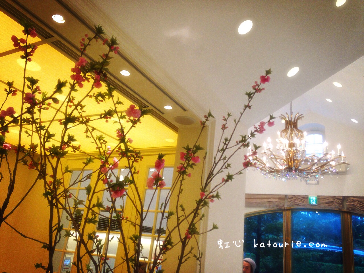 マールブランシュ北山本店の八重桜