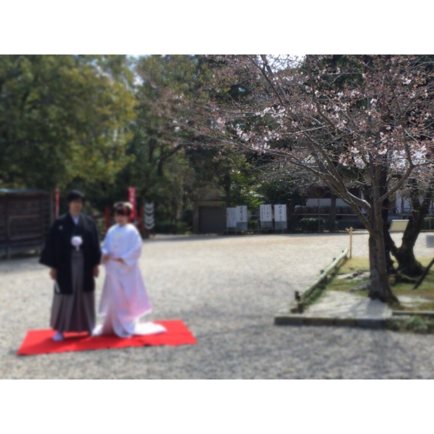 型撮り　白無垢