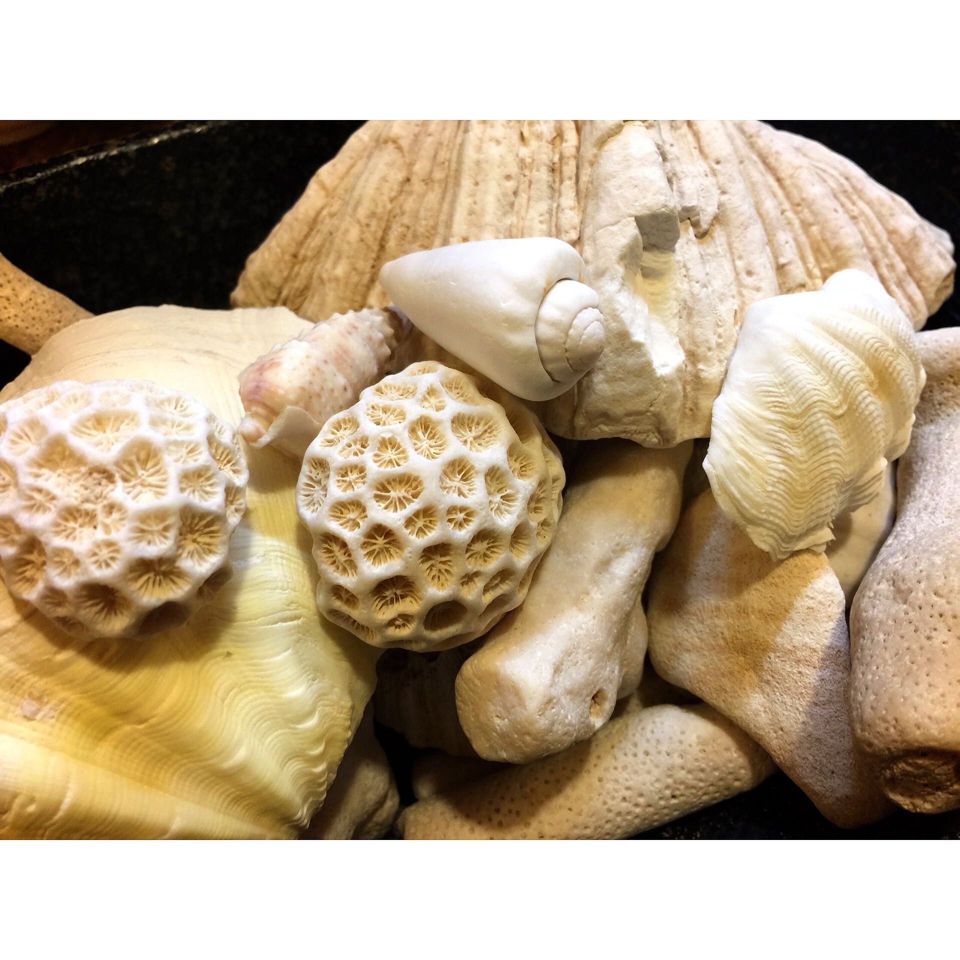 海 ウェディング