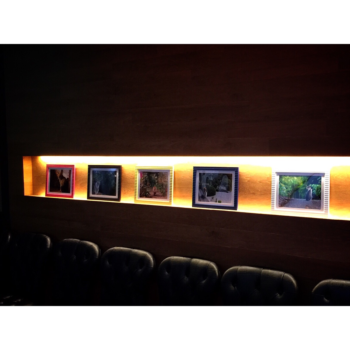 ネコ ウェディングモチーフ