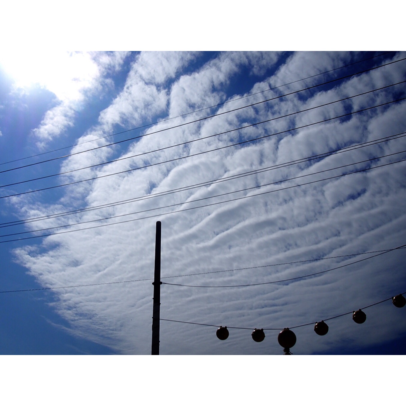 黒島　牛まつり